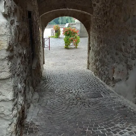 A L'ombre Des Tilleuls Laroque