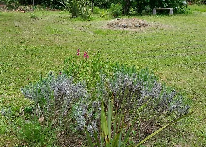 Appartement A L Ombre Des Tilleuls